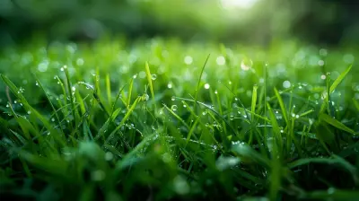 How to Keep Your Lawn Lush for Maximum Curb Appeal
